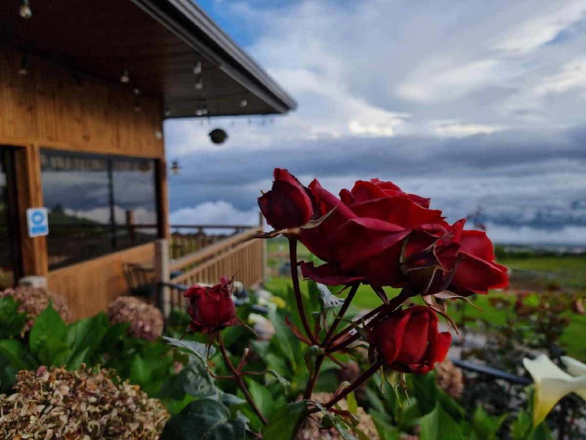 קרתגו Hotel Cabanas Y Mirador Secret Garden Cr מראה חיצוני תמונה